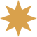 Star icon